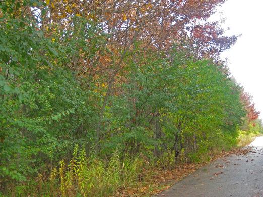 40388 N Belle Foret Dr., Wadsworth, IL 60083