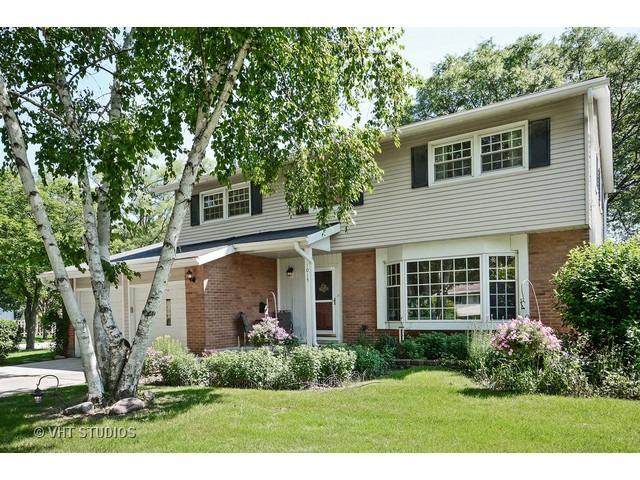 1015 N Hemlock Ln., Mount Prospect, IL 60056