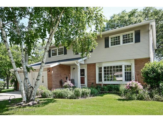 1015 N Hemlock Ln., Mount Prospect, IL 60056