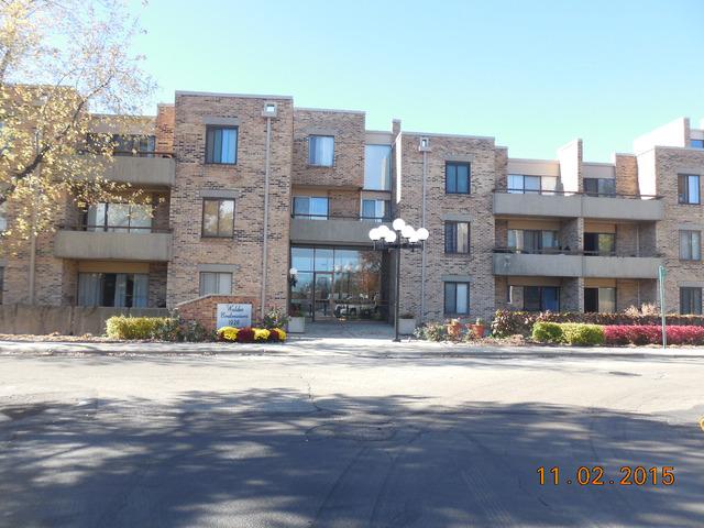 1926 Prairie Sq. #313, Schaumburg, IL 60173