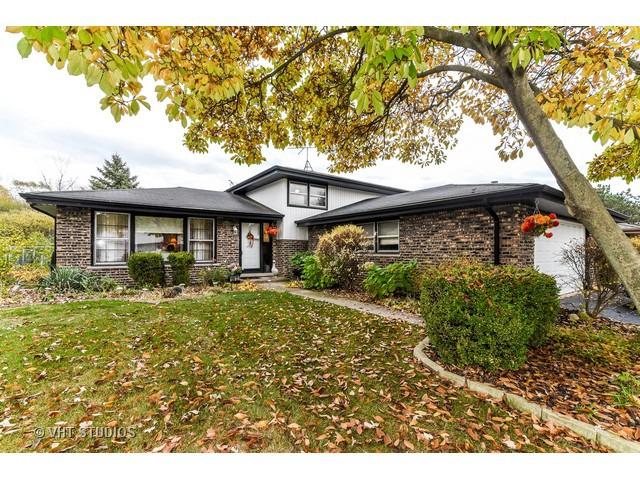 10613 S Lori Ln., Palos Hills, IL 60465