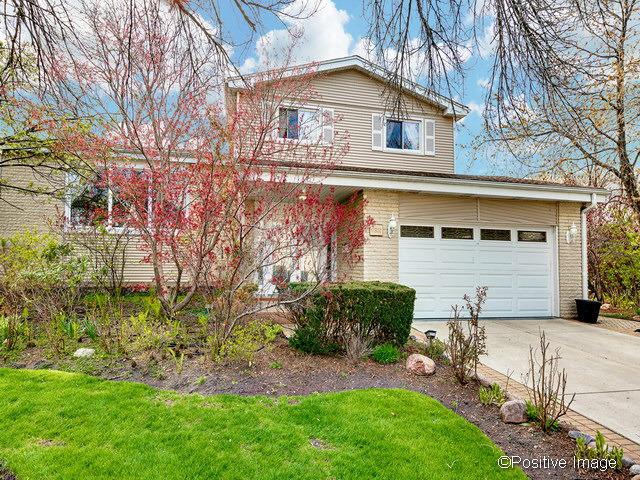 9811 N Maynard Ter., Niles, IL 60714