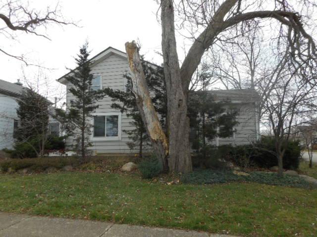203 S Maple Ave., Wauconda, IL 60084