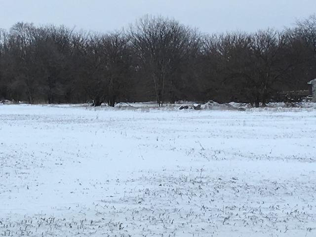 17N099 Harmony Rd., Hampshire, IL 60140