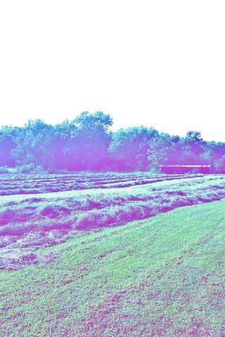 1712 S Hawthorne Rd., Streator, IL 61364