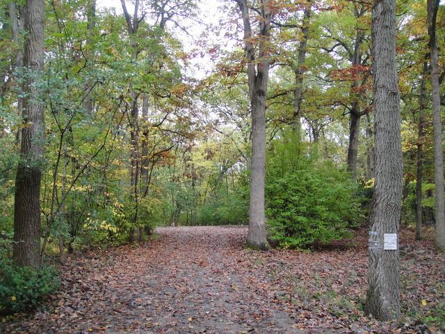 1075 Whigam Rd., Riverwoods, IL 60015
