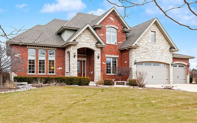 22687 Nature Creek Cir., Frankfort, IL 60423