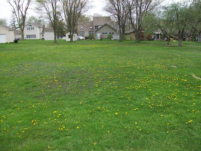 Lot 3 Utah St., Frankfort, IL 60423