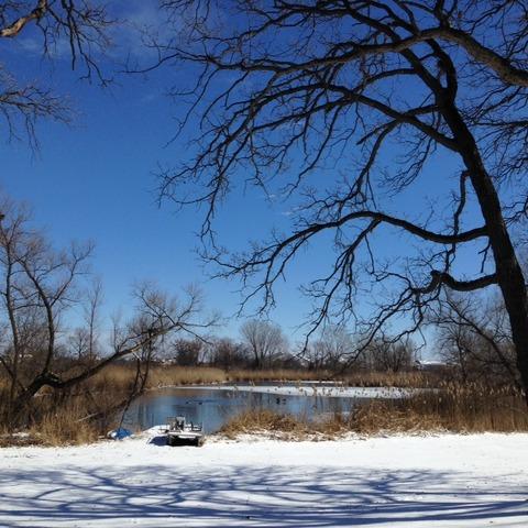 24180 W Meadow Ln., Grayslake, IL 60030