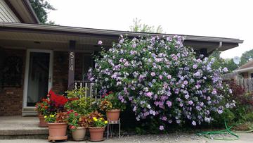514 Dublin Dr., Mundelein, IL 60060