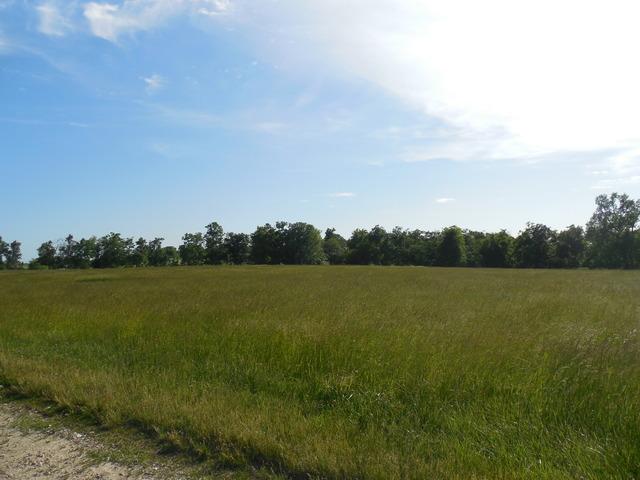 000 Howlett Rd., Paw Paw, IL 61353
