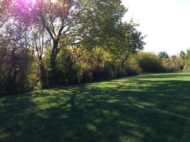 Lot 6 Sherlock St., Frankfort, IL 60423
