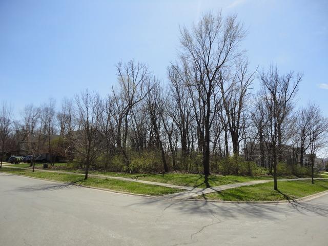 24537 W Great Oaks Dr., Channahon, IL 60410