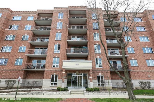 1349 E Washington St. #303A, Des Plaines, IL 60016