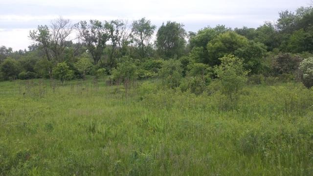 14670 Fox Hollow Ln., Lemont, IL 60439