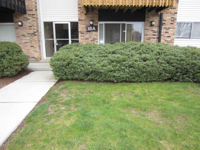 15A Kingery Quarter Dr. #102, Willowbrook, IL 60527