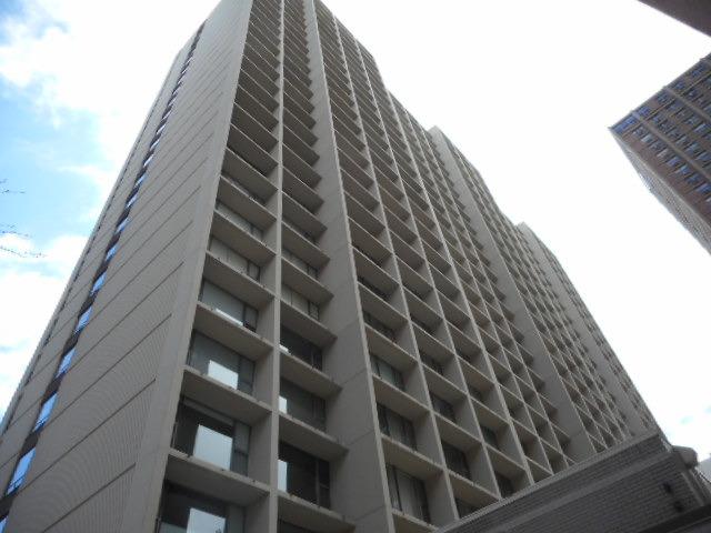 3200 N Lake Shore Dr. #2901, Chicago, IL 60657