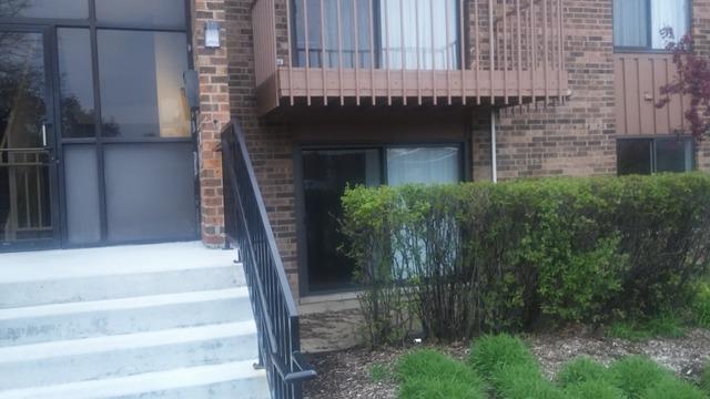 116 Mullingar Ct. #1D, Schaumburg, IL 60193