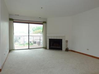 671 Hapsfield Ln. #203, Buffalo Grove, IL 60089