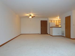 671 Hapsfield Ln. #203, Buffalo Grove, IL 60089