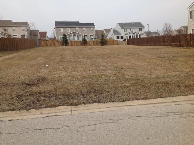 458 Raintree Dr., Oswego, IL 60543