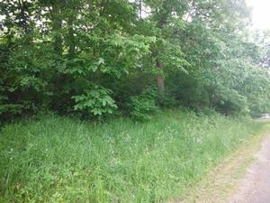 6 Commanche Ct., Lake Thunderbird, IL 61560