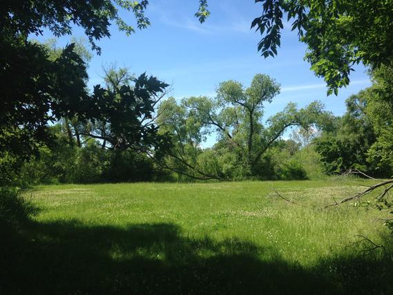 Park Ave., Wauconda, IL 60084