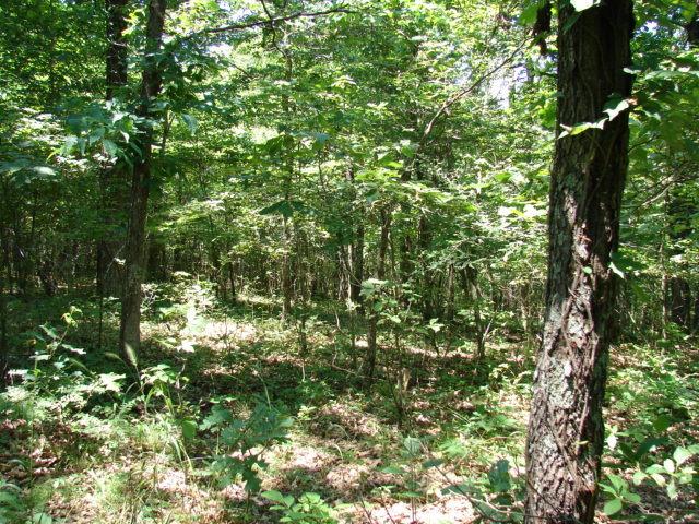 000 Three Mile Creek Rd., Rosiclare, IL 62982