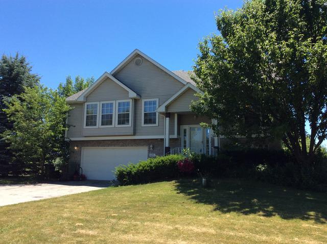 10317 W Steger Rd., Frankfort, IL 60423