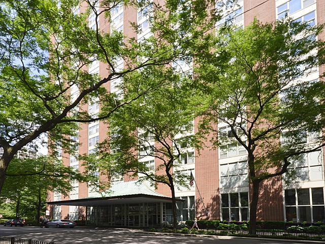 1325 N State Pkwy. #22A, Chicago, IL 60610