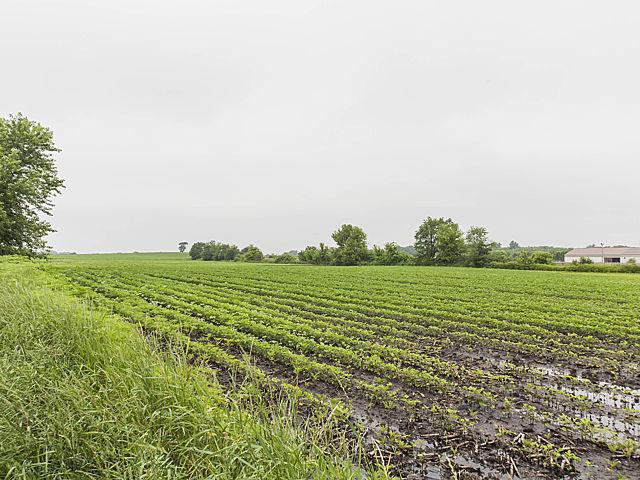 1917 N Queen Anne Rd., Woodstock, IL 60098