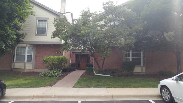 123 Willow Brook Ct. #5, Schaumburg, IL 60195