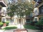 4233 N Keeler Ave. #A1B, Chicago, IL 60641