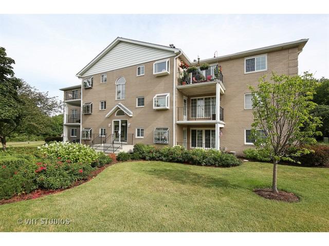 462 S President St. #303, Carol Stream, IL 60188