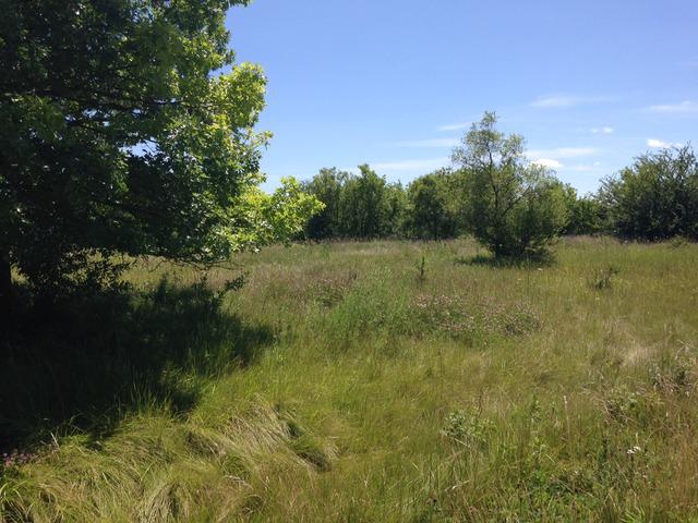 9 Little Bend Rd., Barrington Hills, IL 60010