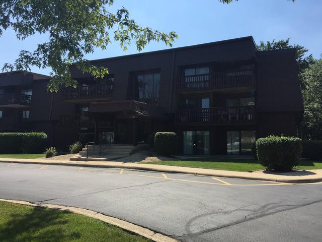 1620 Richmond Cir. #206, Joliet, IL 60435