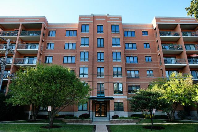 1636 Ashland Ave. #508, Des Plaines, IL 60016