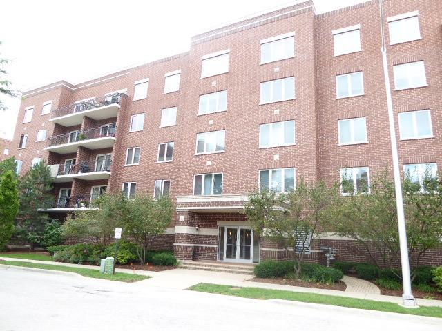 1675 Mill St. #203, Des Plaines, IL 60016
