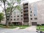 1595 Ashland Ave. #408, Des Plaines, IL 60016