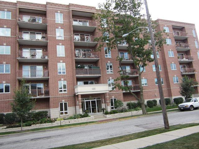 1349 E Washington St. #210A, Des Plaines, IL 60016