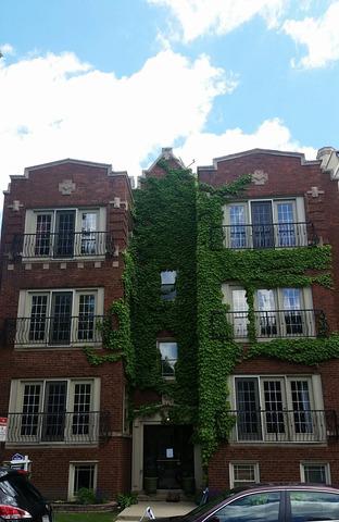 911 Maple Ave. #1N, Evanston, IL 60202