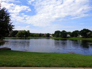 1303 Springwood Dr. #A2, Schaumburg, IL 60193