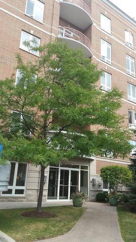 787 Graceland Ave. #308B, Des Plaines, IL 60016