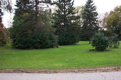 Lot 3 S Belmont Ave., Arlington Heights, IL 60005