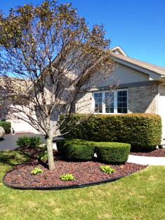 50 Odyssey Dr., Tinley Park, IL 60477