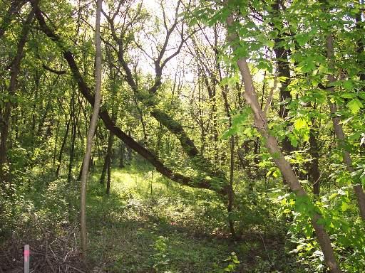 LOT 7 Cotswold Dr., Yorkville, IL 60560