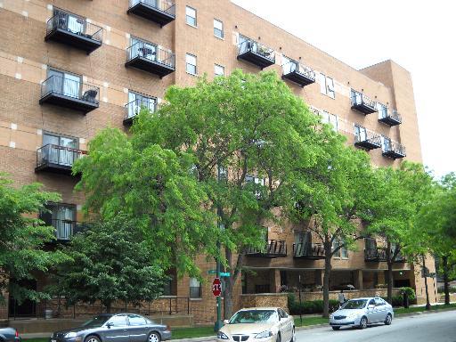1000 E 53rd St. #218S, Chicago, IL 60615