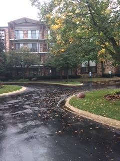 1400 N Yarmouth Pl. #411, Mount Prospect, IL 60056