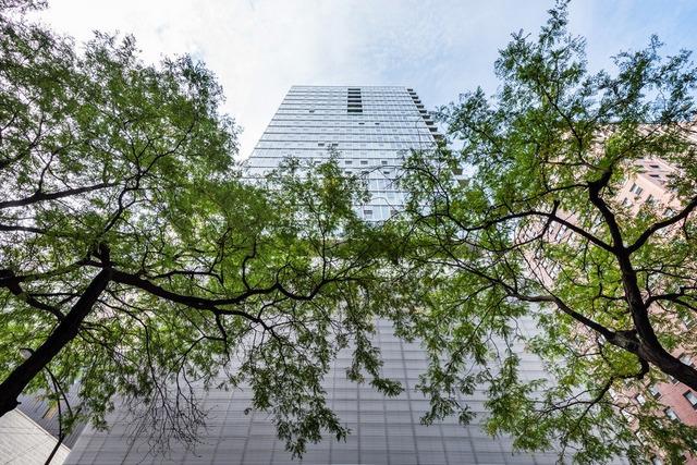 550 N St Clair St. #1307, Chicago, IL 60611