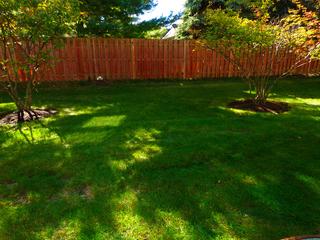 1126 Spring Garden Ct. #NA, Naperville, IL 60563